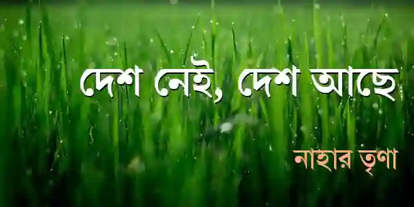 দেশ নেই, দেশ আছে